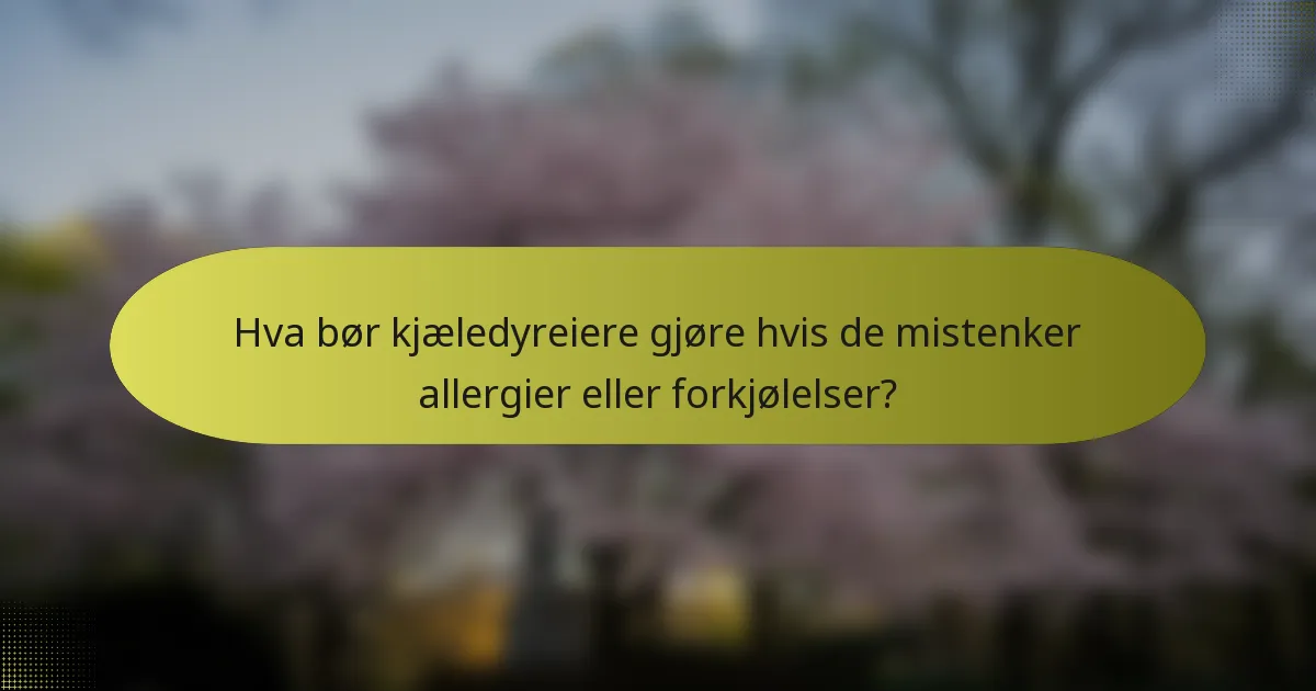Hva bør kjæledyreiere gjøre hvis de mistenker allergier eller forkjølelser?