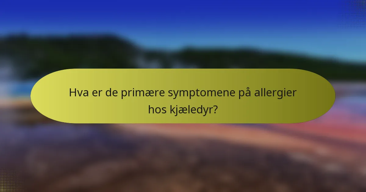 Hva er de primære symptomene på allergier hos kjæledyr?