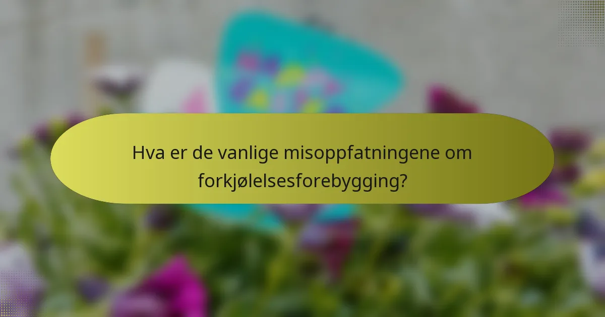 Hva er de vanlige misoppfatningene om forkjølelsesforebygging?