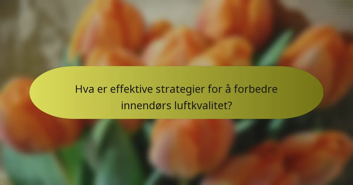 Hva er effektive strategier for å forbedre innendørs luftkvalitet?