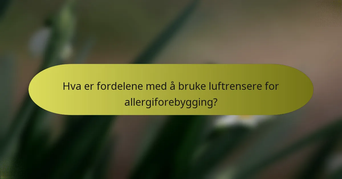 Hva er fordelene med å bruke luftrensere for allergiforebygging?