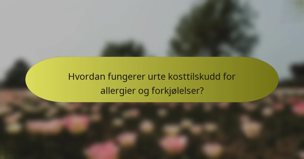 Hvordan fungerer urte kosttilskudd for allergier og forkjølelser?