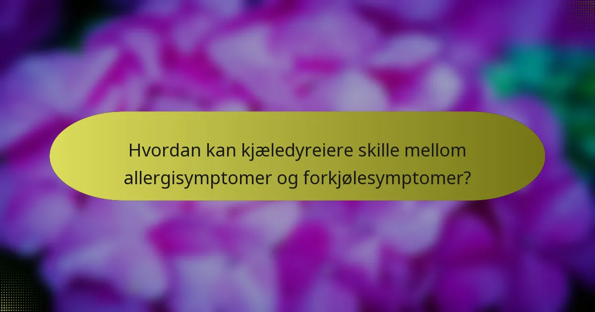 Hvordan kan kjæledyreiere skille mellom allergisymptomer og forkjølesymptomer?